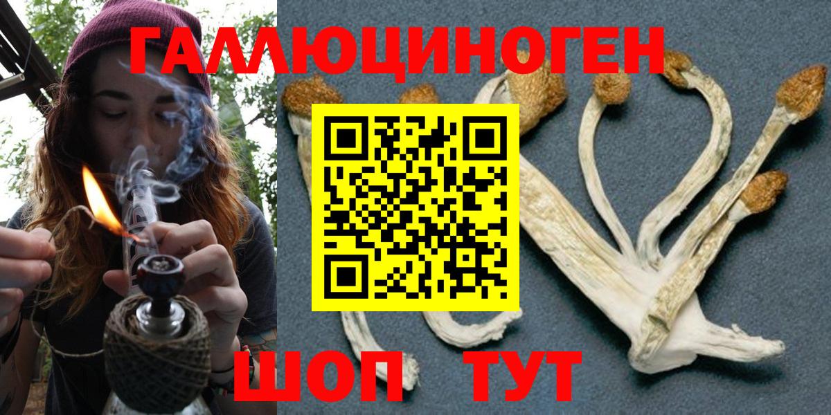 Воркута  Галлюциногенные грибы GOLDEN TEACHER  Вход с VPN 