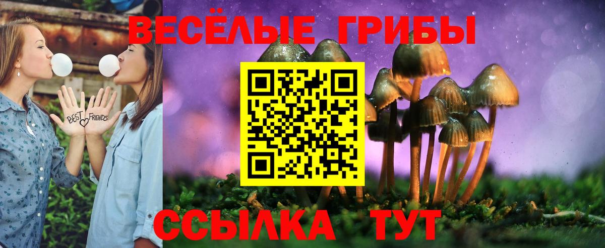 Псилоцибиновые грибы мицелий Воркута
